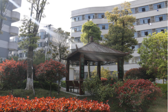 1543548209737130.png image.png